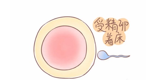 美國試管嬰兒機構