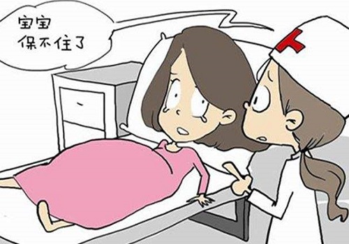 試管嬰兒價(jià)格要多少錢?